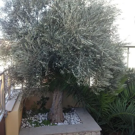 Tatil Evi Embat